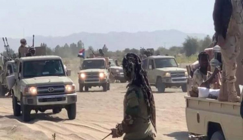 صحيفة: بنادق وعقول الجنوبيين تحاصر إرهاب القاعدة