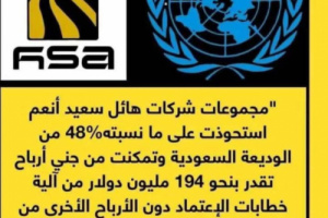 خبراء مجلس الأمن: مجموعة هائل سعيد تنهب قرابة 50% من الوديعة السعودية 