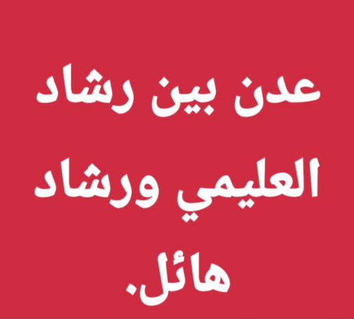هائل سعيد أنعم.. نفوذ اقتصادي أم وصاية على القرار الجنوبي؟