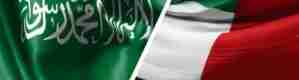 سياسيون يعلقون على البيان السعودي الإماراتي .. البيان أخرج الإمارات من دائرة الغريم 