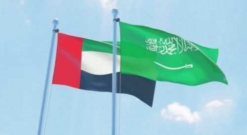 محلل سياسي : البيان السعودي الإماراتي أوقف حفلة "الـزار" الصاخبة للشرعية 
