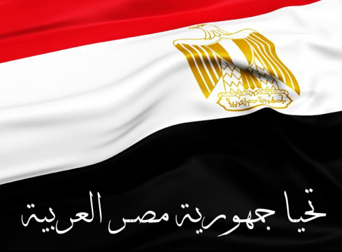 مصر تؤكد رفضها لتهديد الإخوان والقاعدة لاستقرار جنوب اليمن وتهدد بالتدخل العسكري