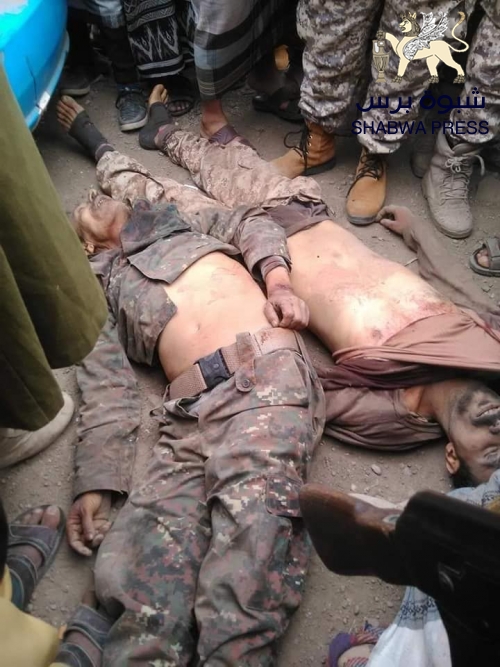 مصدر مأربي : وصول 20 جثة لقتلى الجيش في شبوه ويطالب التحالف بثلاجة للموتي 