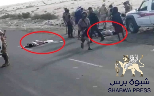 المقاومة الجنوبية تهاجم نقطة لميليشيات الإصلاح في رضوم