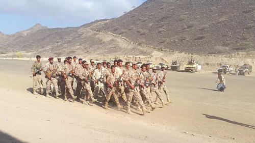 قائد اللواء الخامس دعم وإسناد في حوار مع "الأيام": نحتاج إلى ضمانات وموافقة سعودية لتوسيع عملياتنا العسكرية