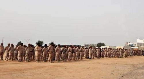 توجيهات بإعادة تأهيل قوات الدعم والإسناد في عدن