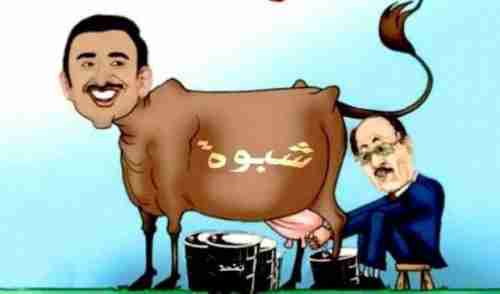 رسالة إلى من كان بالأمس راعي "بهم العرم " واليوم محافظ لـ "شبوة"