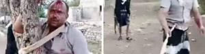 مواطن يسحب بحبل كالبهيمة ويربط إلى شجرة ويضرب ويهان في تعز.. أين نباحي حزب الإصلاح