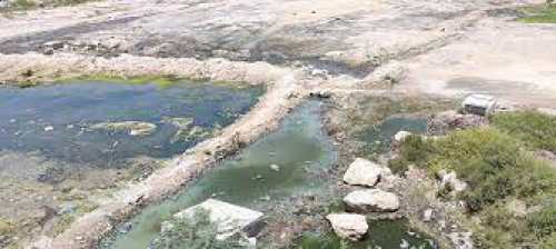 الاستشهاد لأبناء حضرموت ووظائف شركات النفط لليمنيين