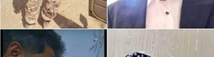 بعد 30 ساعة سلطة بن الوزير تعلم بسقوط شهداء دفاع شبوة 
