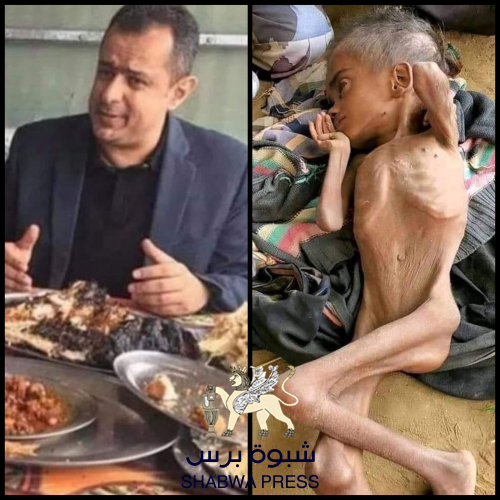 "وزراء الإنتقالي" في حكومة "لـ عين" يشاركون في الحرب على الجنوب
