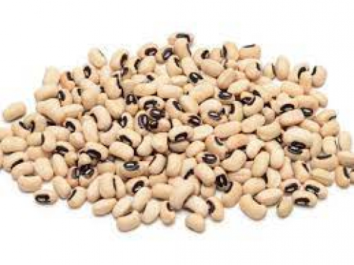 يا واعد باذيب رجع الدجر حقنا الذي دفعناه اشتراك في الحزب الاشتراكي