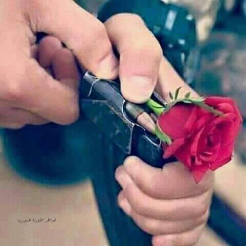 هبّة و هضبة.. البداوة لا تصنع واقعا، انما تجيد تهديم المكان