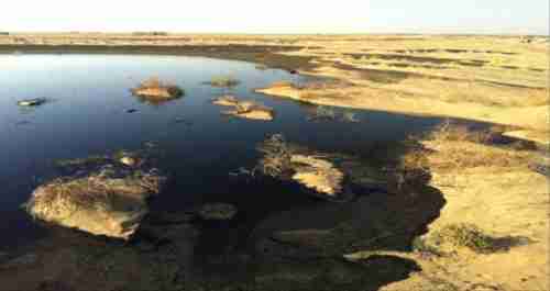 كارثة بيئية تهدد روضة شبوة وسكانها بسبب تسرب نفطي 