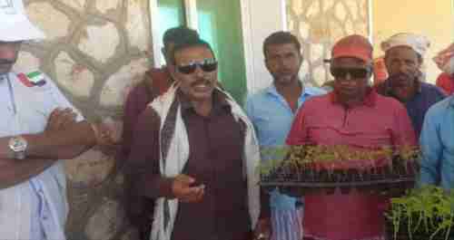 خليفة الإنسانية توزيع 10 ألف شتلة زراعية على أهالي 