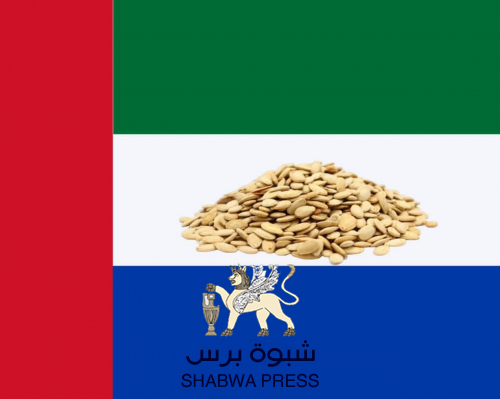 نظام دعاة دولة حضرموت: أسرق وأقسم لي وأقتل وما سيبي