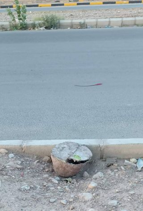 إحباط عملية إرهابية في مدينة عتق عاصمة محافظة شبوة