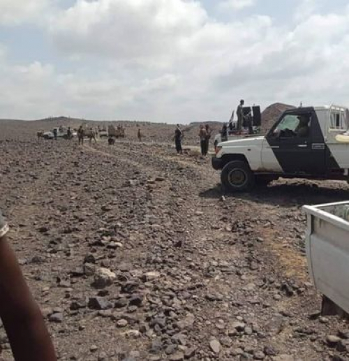 رغم التشويش عليها.. القوات الجنوبية تواصل تطهير أبين من الإرهاب