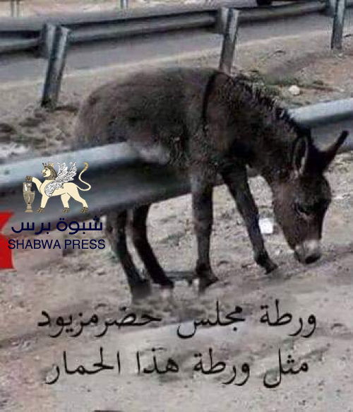 الحضرمي الصنهاجي: سقل باب شريف ومنفوحه يرسمون مستقبل حضرموت