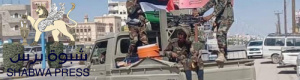 طوفان الاقصى يصل شوارع عاصمة شبوة للبحث عن القات