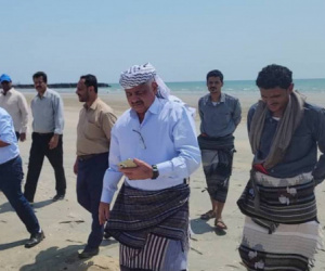 الإمارات تقيم محطة كهرباء غازية 60 ميجا بشبوة  