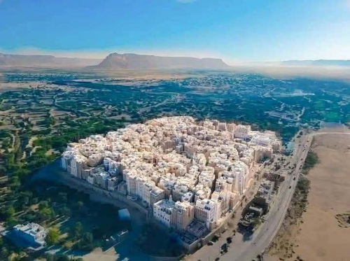 أبناء حضرموت يسابقون الريح نحو شبام ليرفعوا راية الجنوب العربي