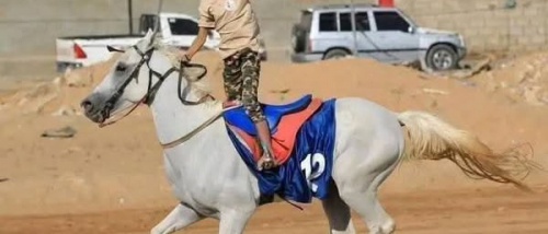 الفارس الشبل الحارثي يوجه صفعة الشرف في وجه العنصرية 