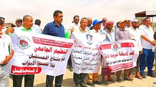 أستاذ قانون دولي: أساتذة الجامعة في الجنوب براتب "جائع" 