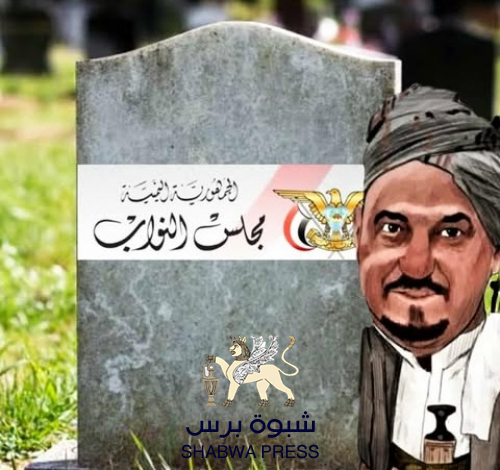 مجلس نواب بقايا الزهايمر.. البركاني يبحث عن بدل سفر ومخصصات!