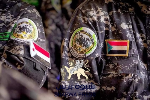 قوة الردع الجنوبية تظهر أمام محاولات الشرعية إفشال اتفاق الرياض