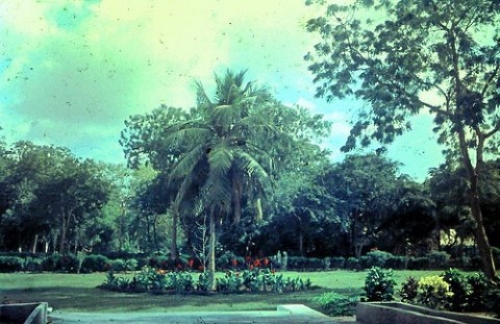 إلى نشطاء أبناء عدن التتار ... يعتدون على حرم حديقة الكمسري