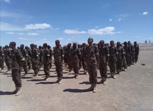 إضافة نوعية ونقلة متقدمة الى اللواء 11 صاعقة وكتيبة حزم 3