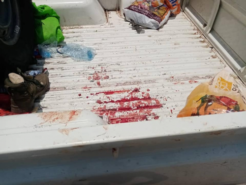 بسالة جنوبية وغطرسة إخوانية.. قراءة في تساقط قيادات الشرعية بجبهة أبين