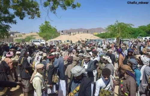 رموز قبيلة بلحارث الصمود والفداء والتضحية يزورون الشيخ عوض بن الوزير