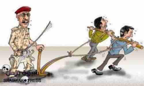 ترك اليمن ((الشمال)) في حالة أللآ دولة أحد الحلول