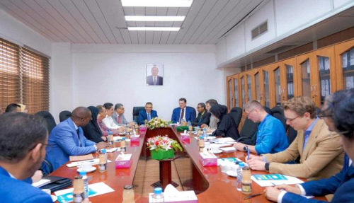 لملس يناقش مع منسق أممي سُبل معالجة تداعيات وآثار تدفق المهاجرين الأفارقة إلى عدن
