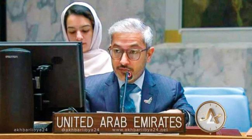 الإمارات تدعو مجلس الأمن لفرض عقوبات رادعة ضد مليشيا الحوثي