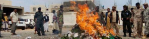 على الأجهزة الأمنية في سقطرى طرد مهربي القات اليمنيين
