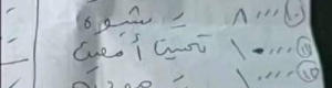 برعاية التحالف مئات الملايين جبايات طريق أبين شبوة يوميا لصالح بن الوزير وأبوبكر حسين(وثيقة)