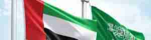 الإمارات تدين الهجوم على القوات السعودية في سيئون