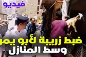 يشمل اليمنيين: القاهرة تخير اللاجئين بين مقاطعة العمل السياسي أو الترحيل