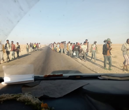 خطر المهاجرين غير الشرعيين يتصاعد في شبوة