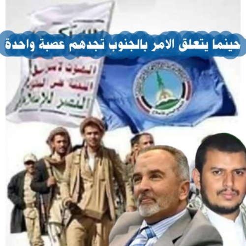 الجنوبيون بين الإخوان والحوثيين: كارثة مستقبلية تهدد الأجيال