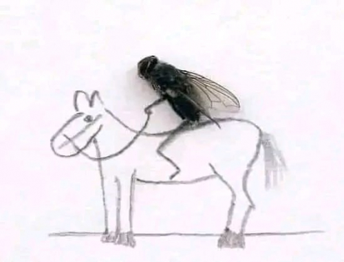 فضيحة ذباب الإصلاح في عدن وحضرموت تكشف الحرب الرقمية على الجنوب