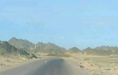 عاجل: هروب أفراد أول نقطة تابعة لتمرد بن حبريش غرب المكلا بعد فرار قائدها (صور)