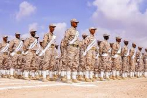 حضارم الداخل يصمدون.. وعيال البامرز يصرخون من وراء الحدود