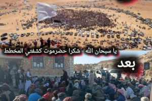 تراجع حشود بن حبريش يكشف سقوط مشروع الفوضى الحضرمية