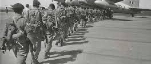 نوفمبر.. الاستقلالُ الموت!