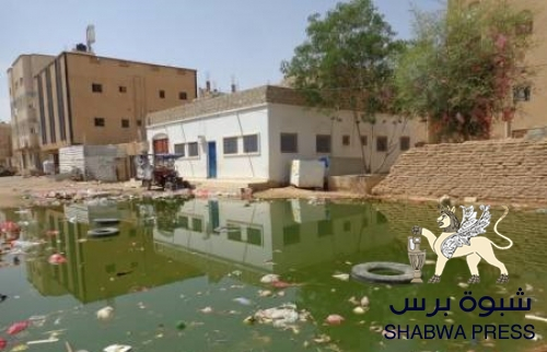 زيف الهالة الإعلامية: هذه حقيقة مشاريع بن عديو في #شبوة 