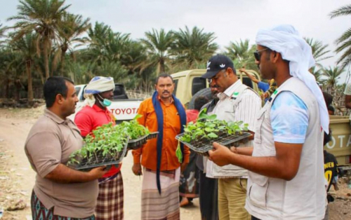 خليفة الإنسانية تدعم مزارعي قلنسية بشتلات خضروات